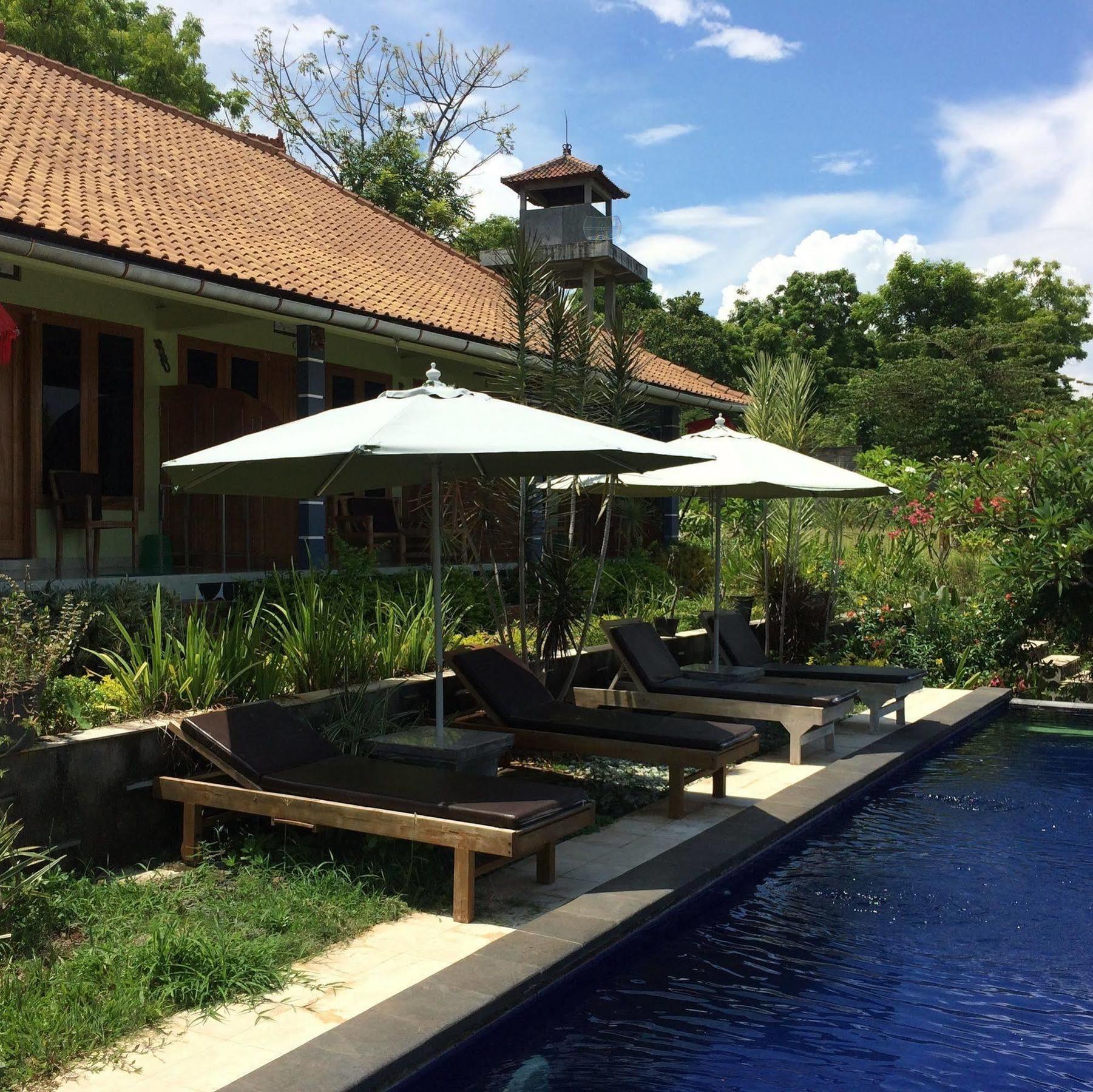Bali Natur Lovina Εξωτερικό φωτογραφία