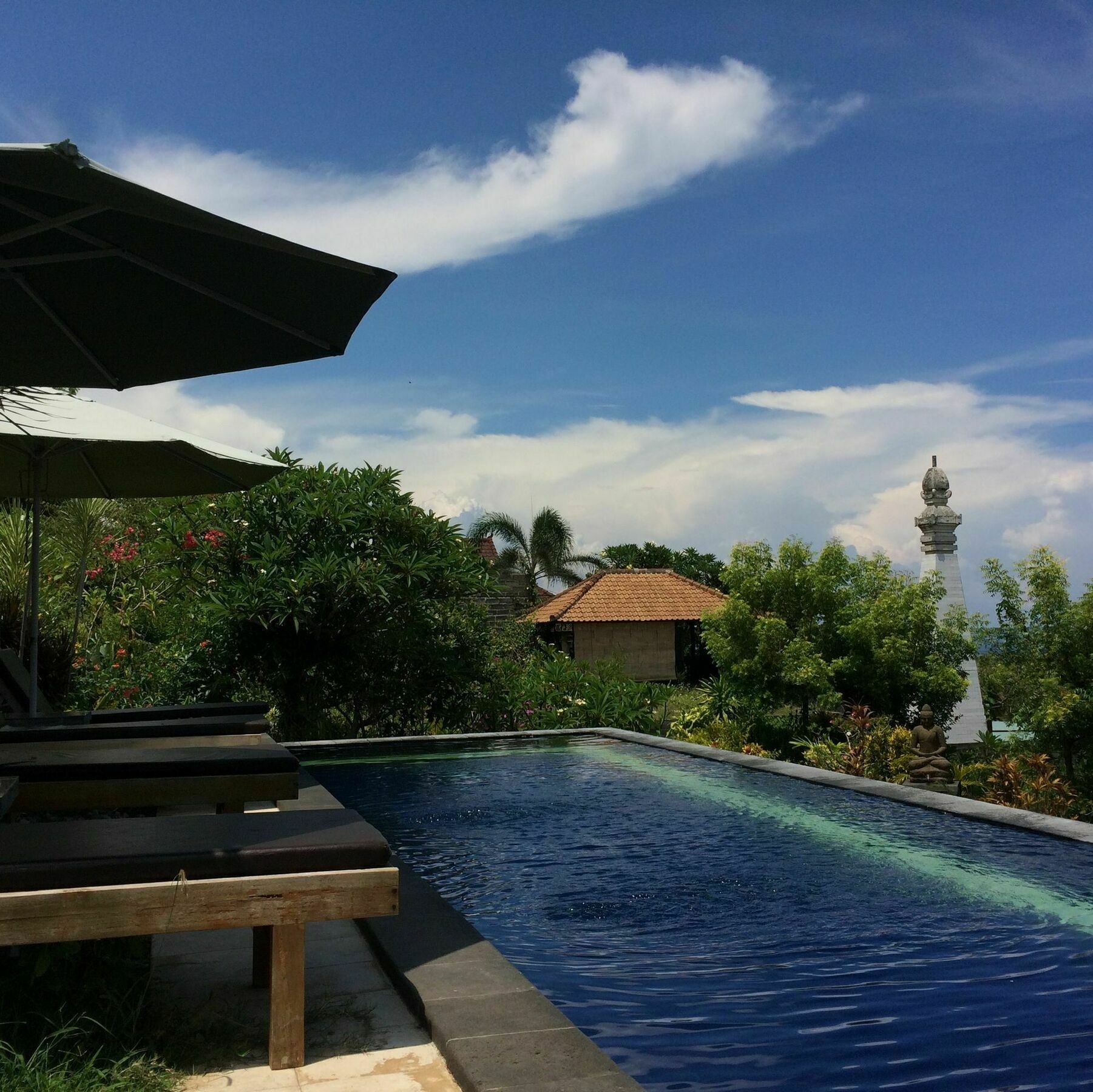 Bali Natur Lovina Εξωτερικό φωτογραφία